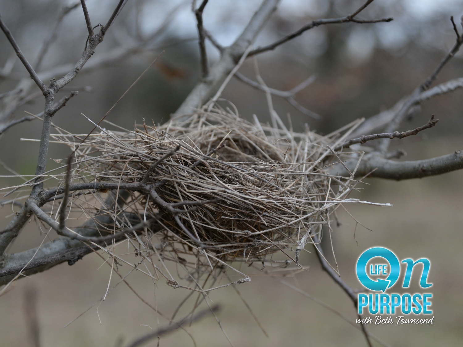 empty-nest_rdkikt